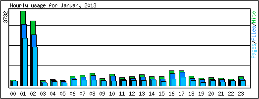 Hourly usage