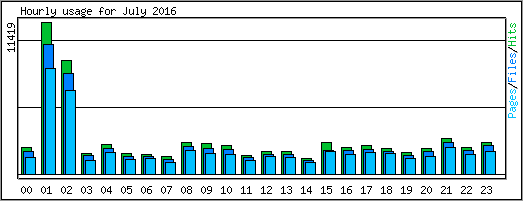 Hourly usage