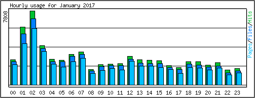 Hourly usage