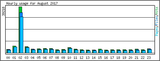 Hourly usage