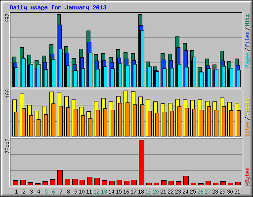 Daily usage for January 2013