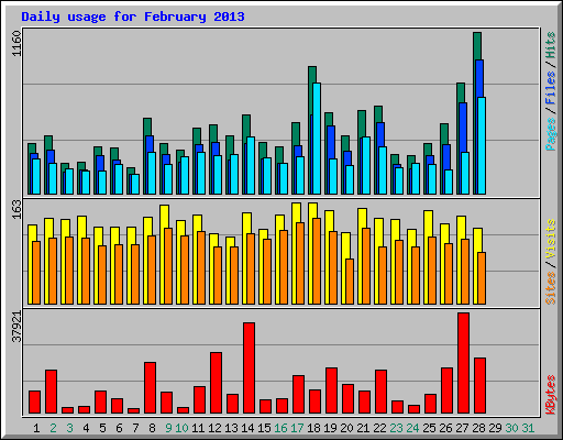 Daily usage for February 2013