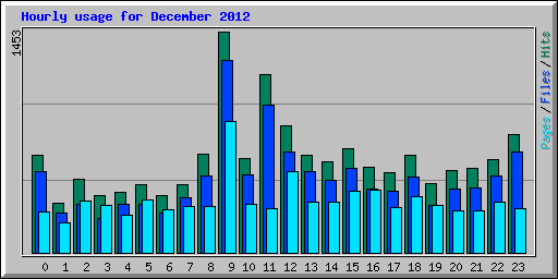 Hourly usage for December 2012