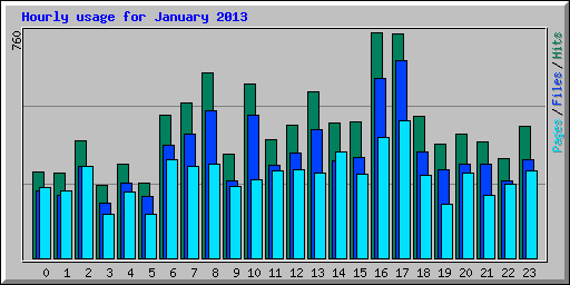 Hourly usage for January 2013