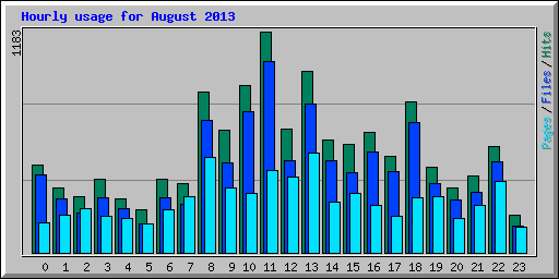 Hourly usage for August 2013