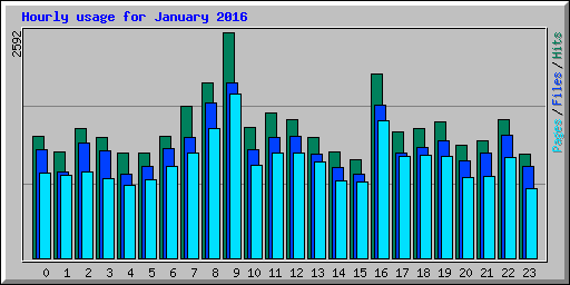 Hourly usage for January 2016