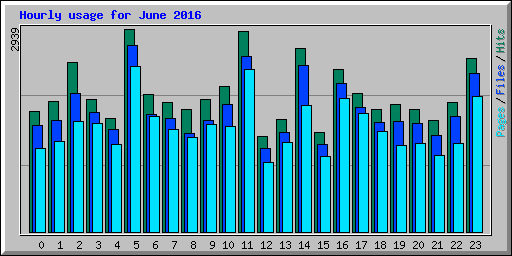 Hourly usage for June 2016