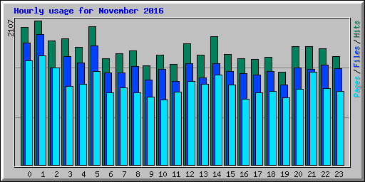 Hourly usage for November 2016