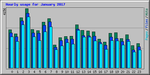 Hourly usage for January 2017